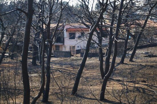 Consequences of wildfires in Greece