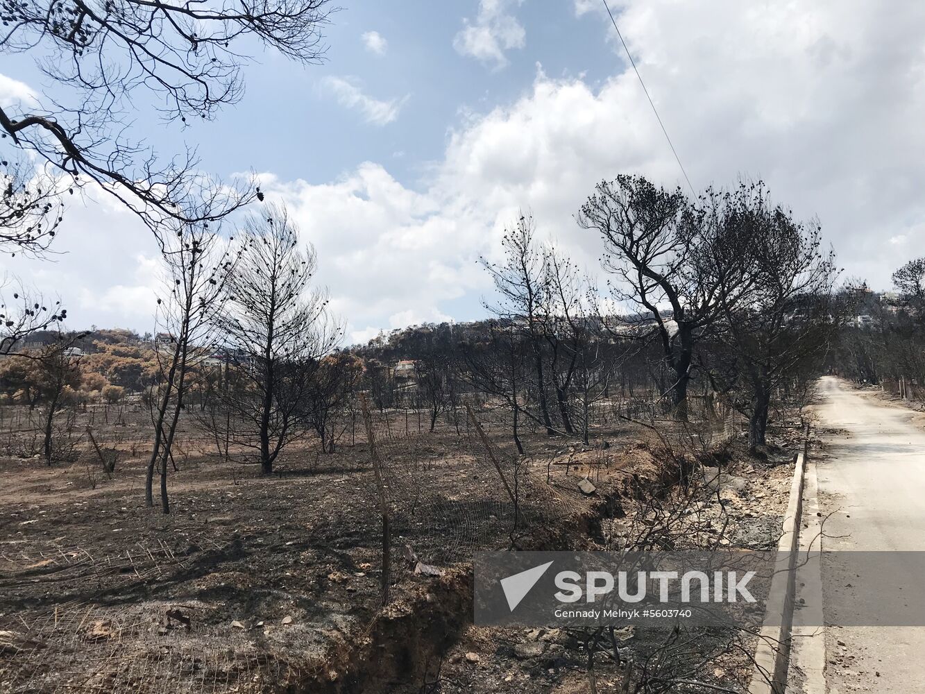 Consequences of wildfires in Greece