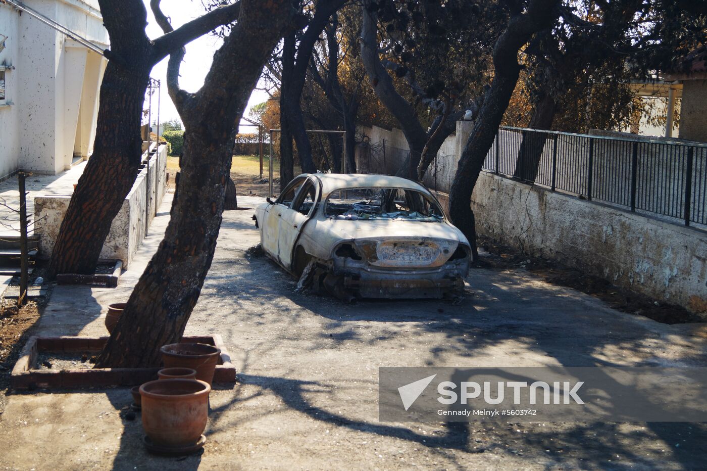 Consequences of wildfires in Greece