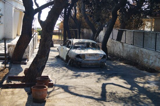 Consequences of wildfires in Greece