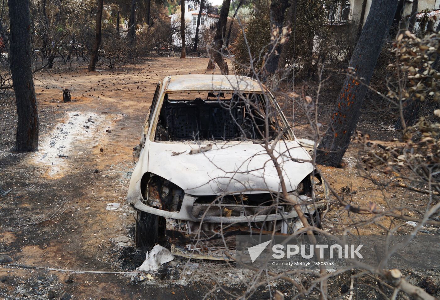 Consequences of wildfires in Greece
