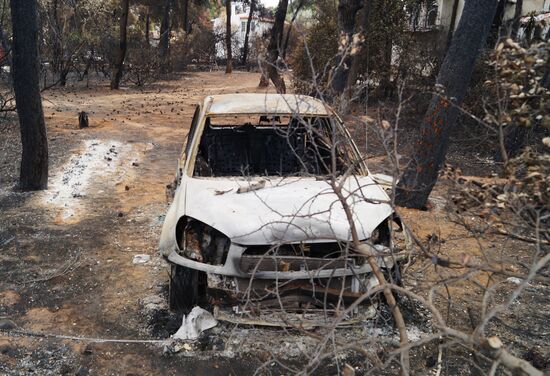 Consequences of wildfires in Greece