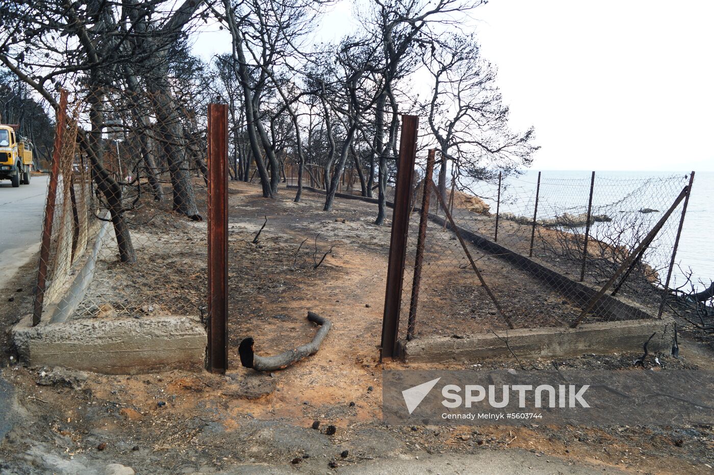 Consequences of wildfires in Greece