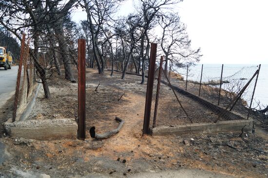 Consequences of wildfires in Greece