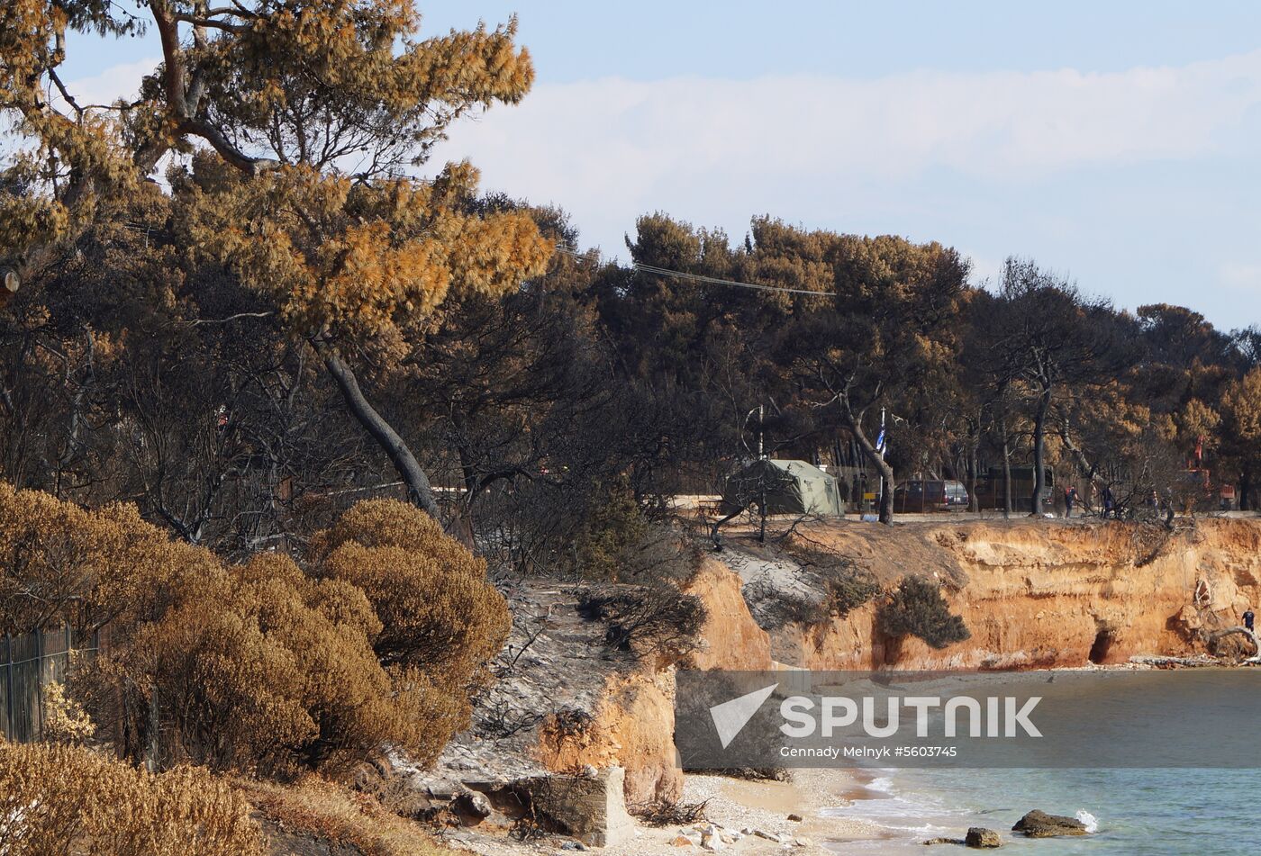 Consequences of wildfires in Greece