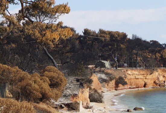 Consequences of wildfires in Greece