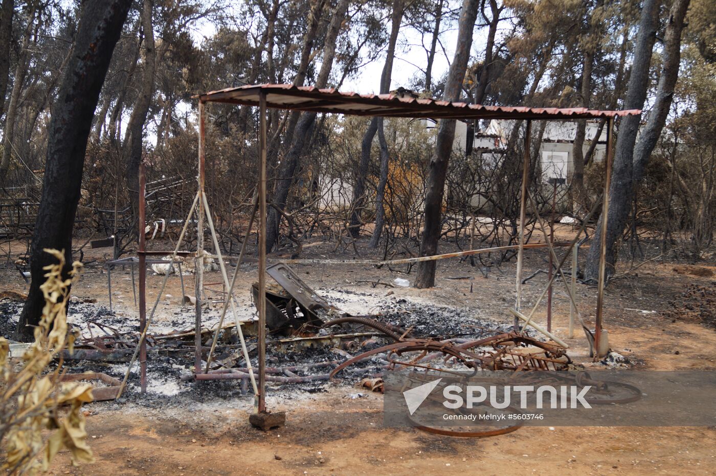 Consequences of wildfires in Greece