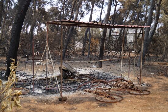 Consequences of wildfires in Greece