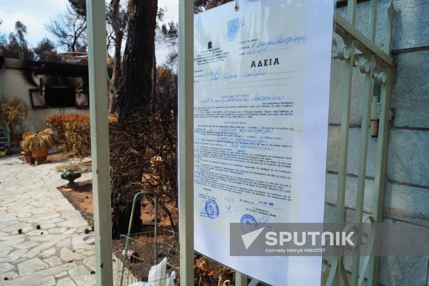 Consequences of wildfires in Greece