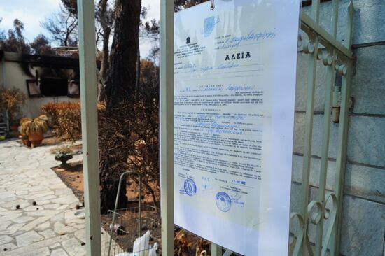 Consequences of wildfires in Greece