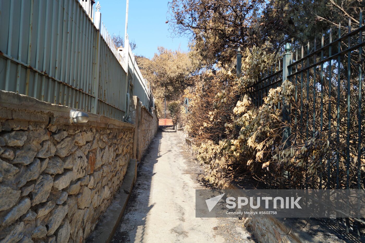 Consequences of wildfires in Greece