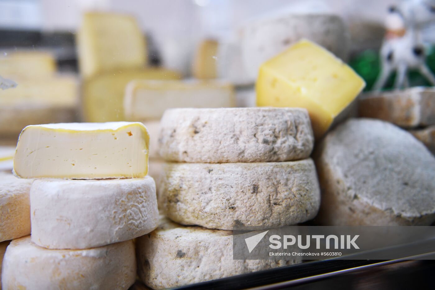 Russian Cheese Festival at VDNKh