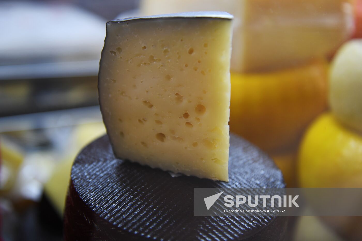 Russian Cheese Festival at VDNKh