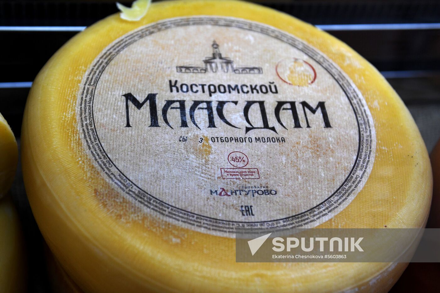 Russian Cheese Festival at VDNKh