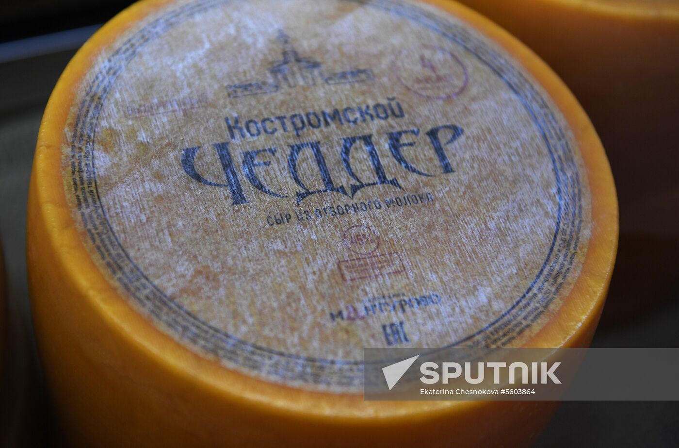 Russian Cheese Festival at VDNKh