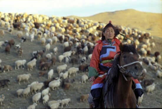 Tuvinian shepherds