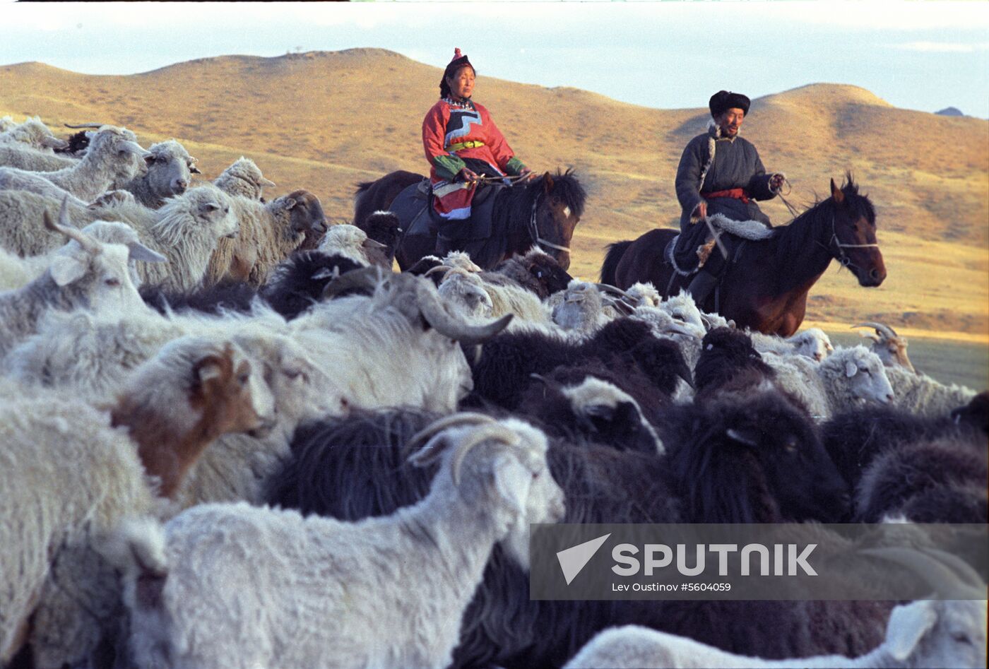 Tuvinian shepherds