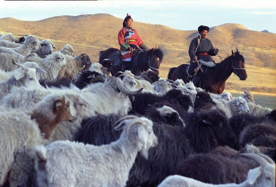 Tuvinian shepherds