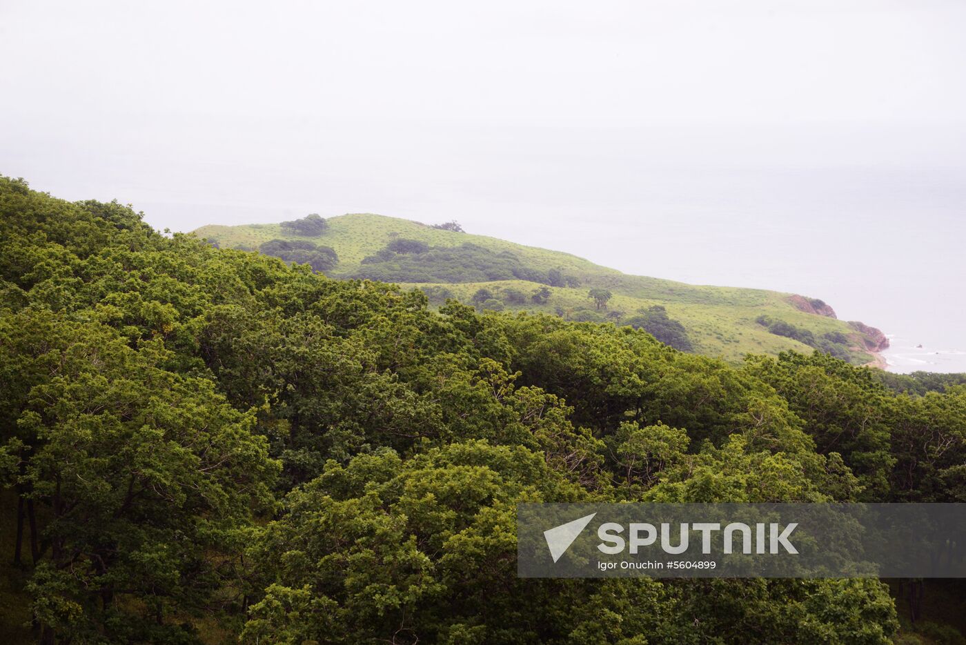 Putyatin Island in Primorye Territory