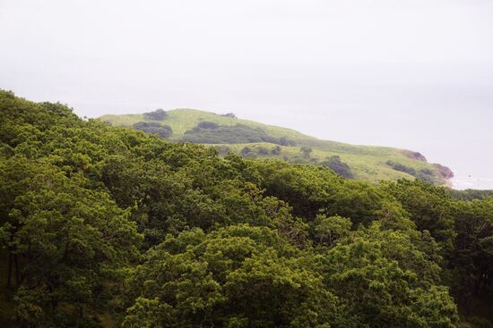 Putyatin Island in Primorye Territory