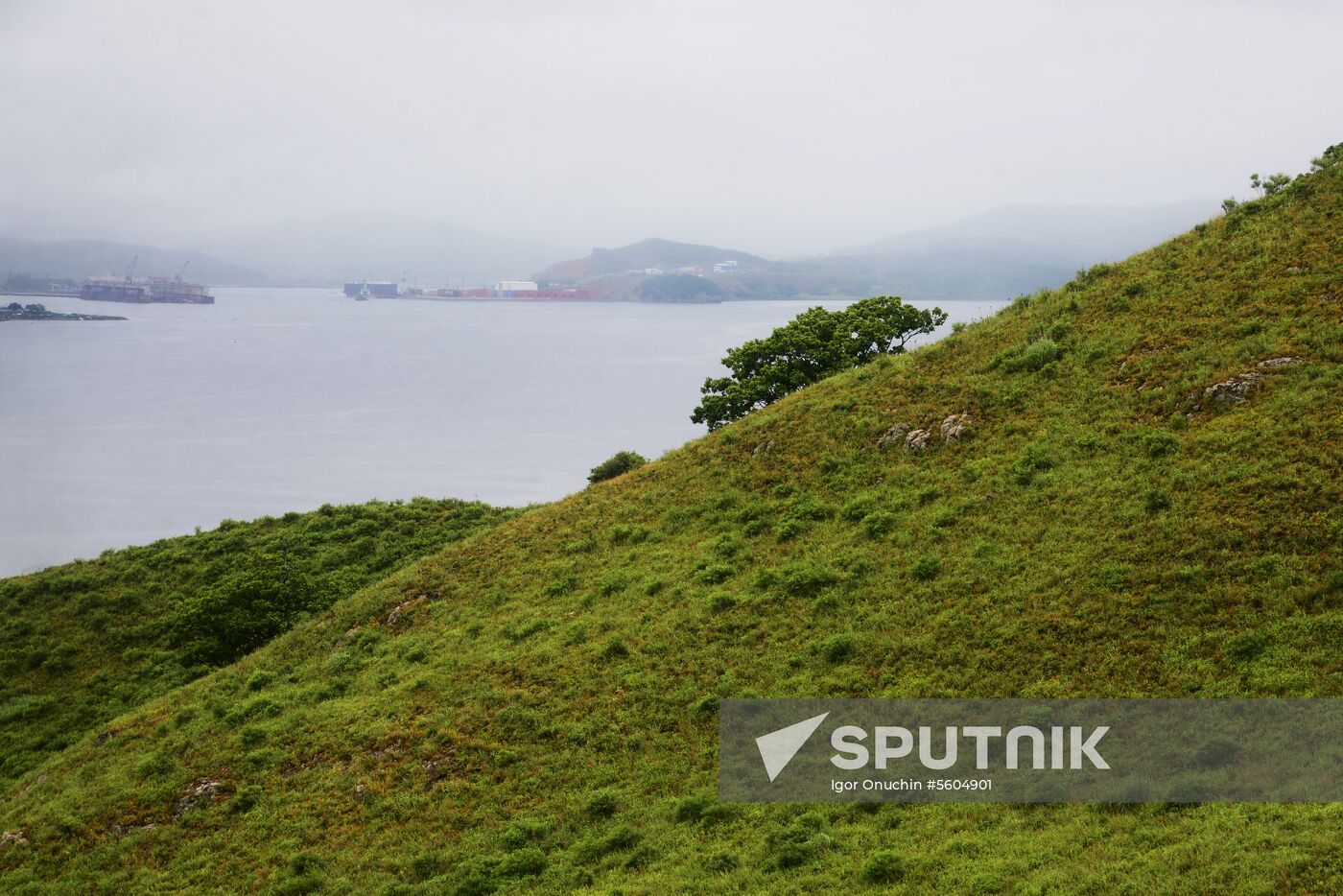 Putyatin Island in Primorye Territory