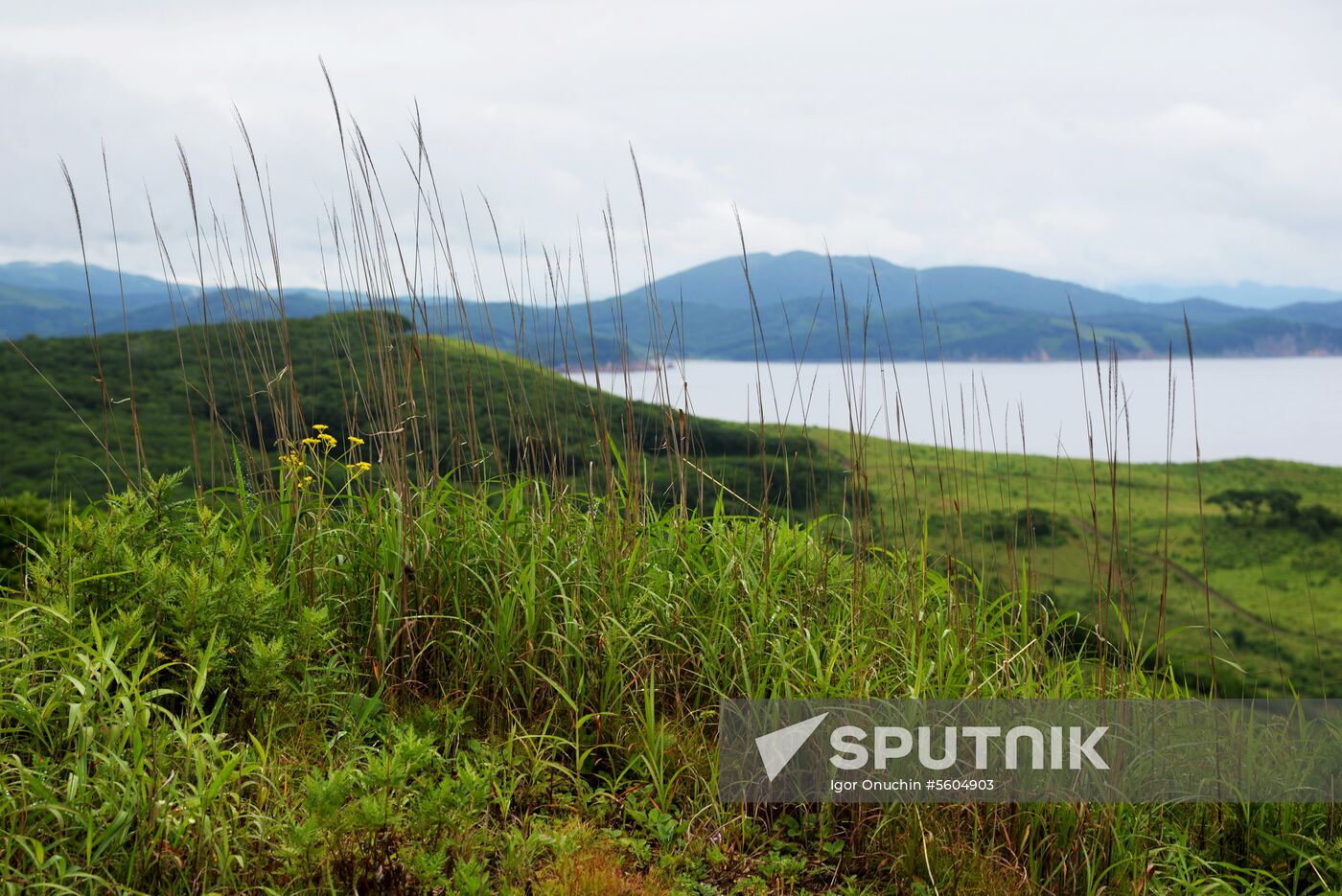 Putyatin Island in Primorye Territory