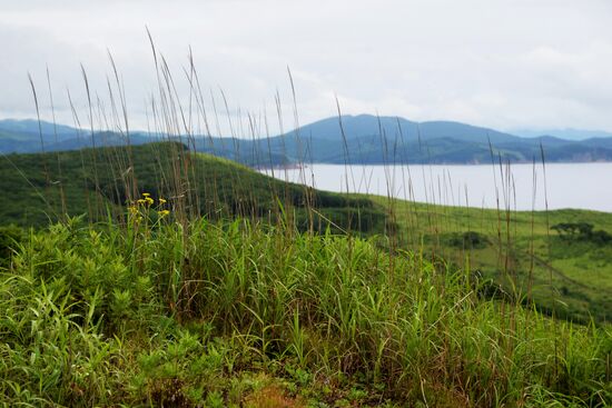 Putyatin Island in Primorye Territory