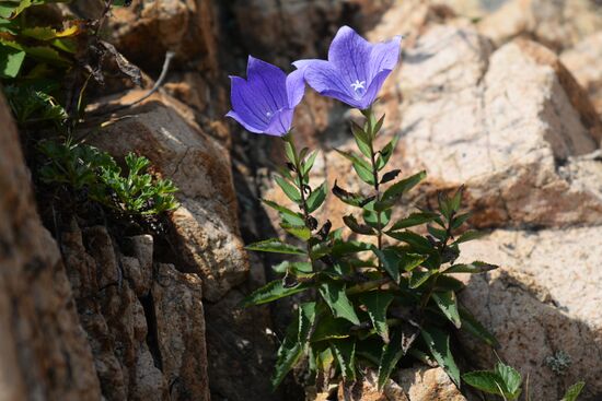 Putyatin Island in Primorye Territory