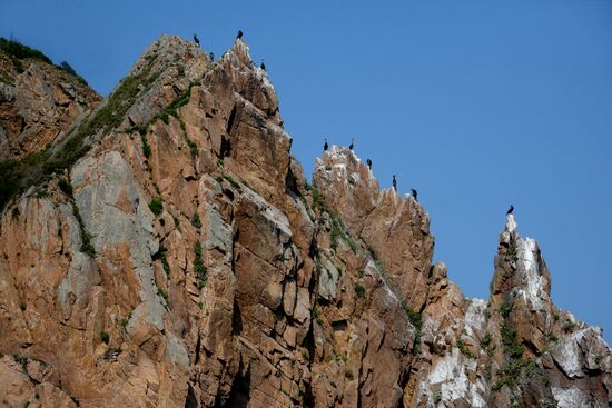Putyatin Island in Primorye Territory