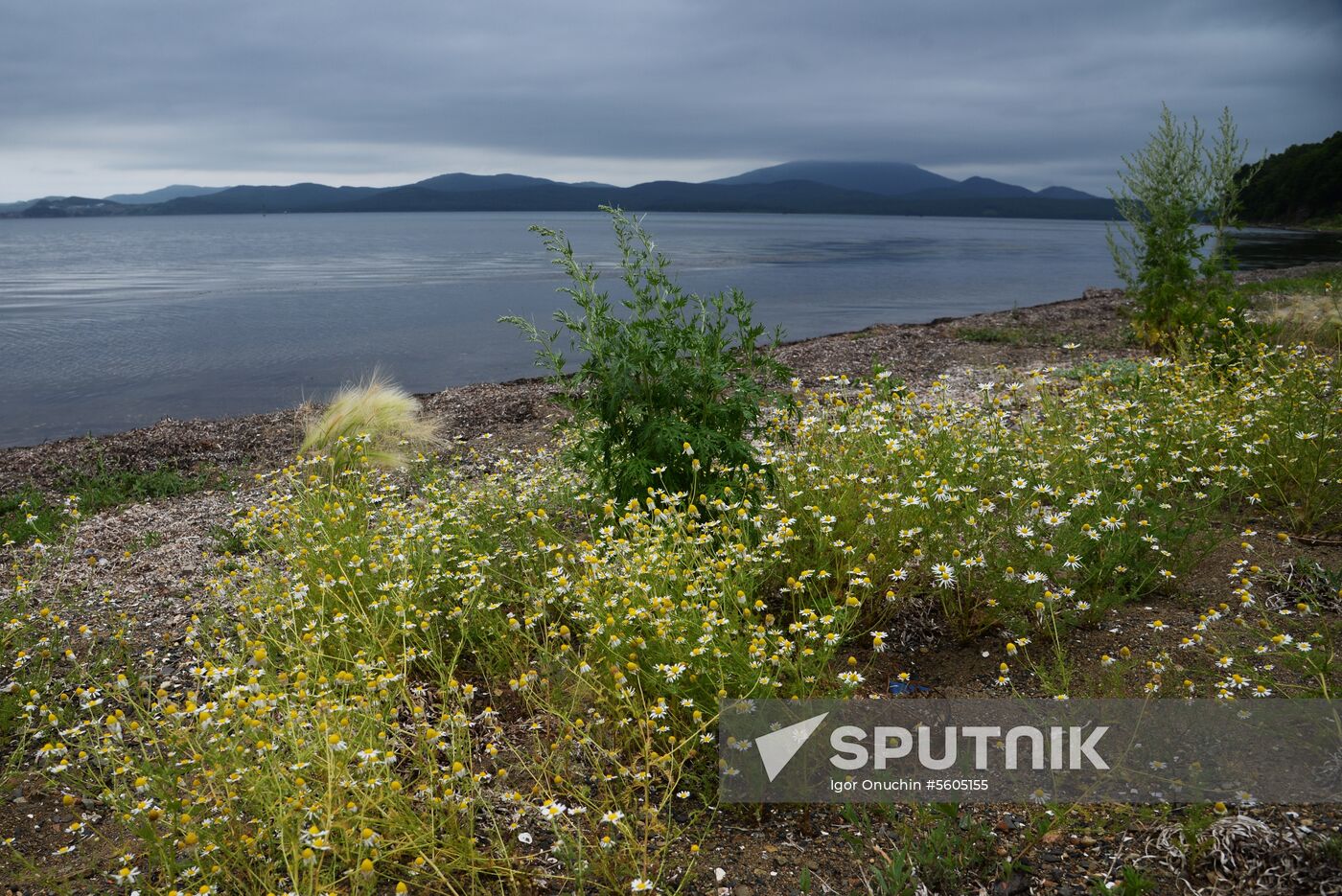 Putyatin Island in Primorye Territory