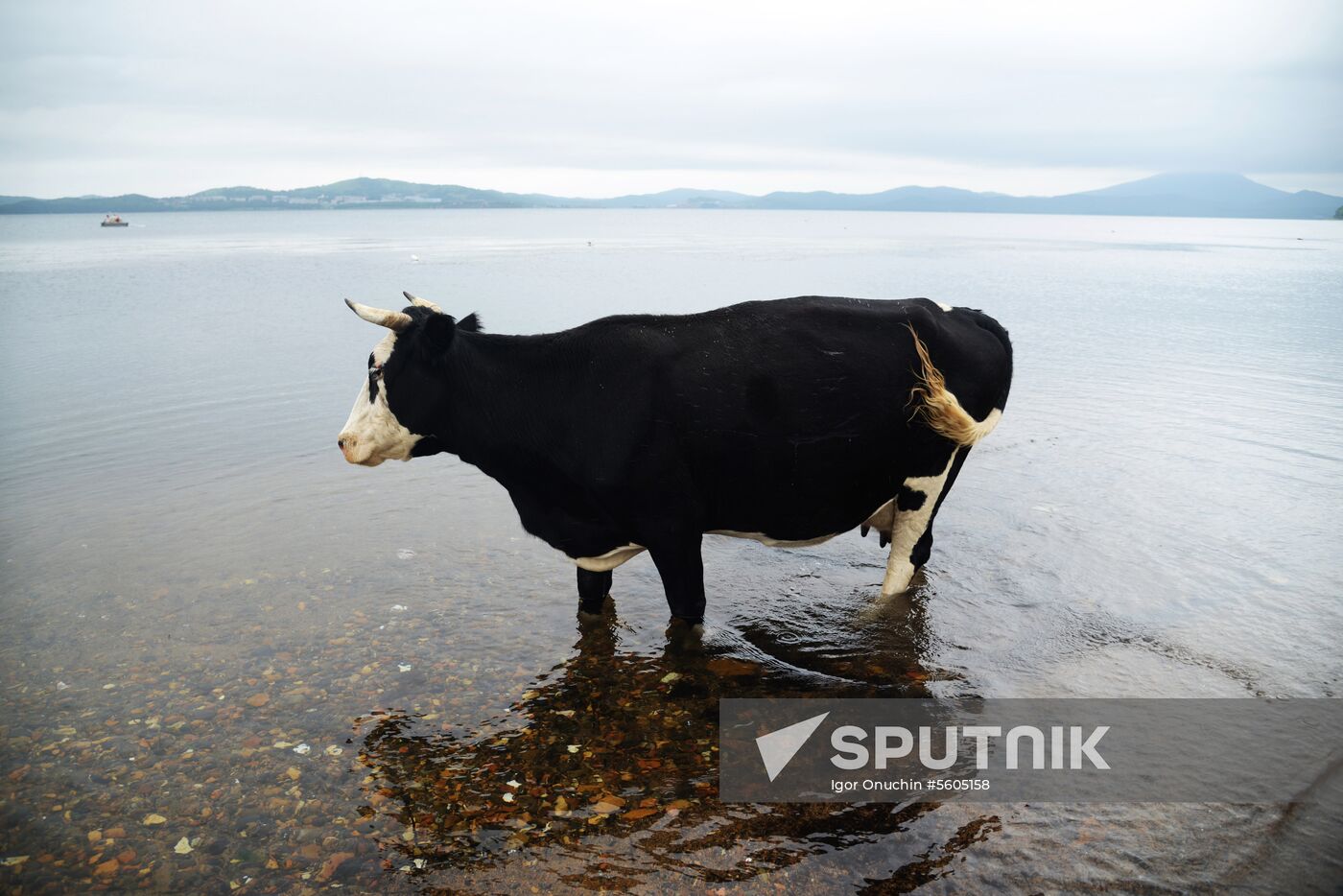Putyatin Island in Primorye Territory