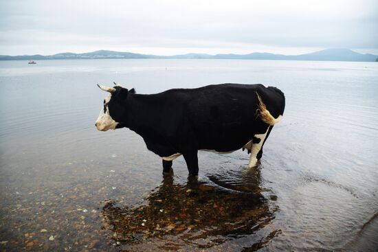 Putyatin Island in Primorye Territory