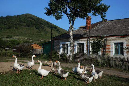Putyatin Island in Primorye Territory