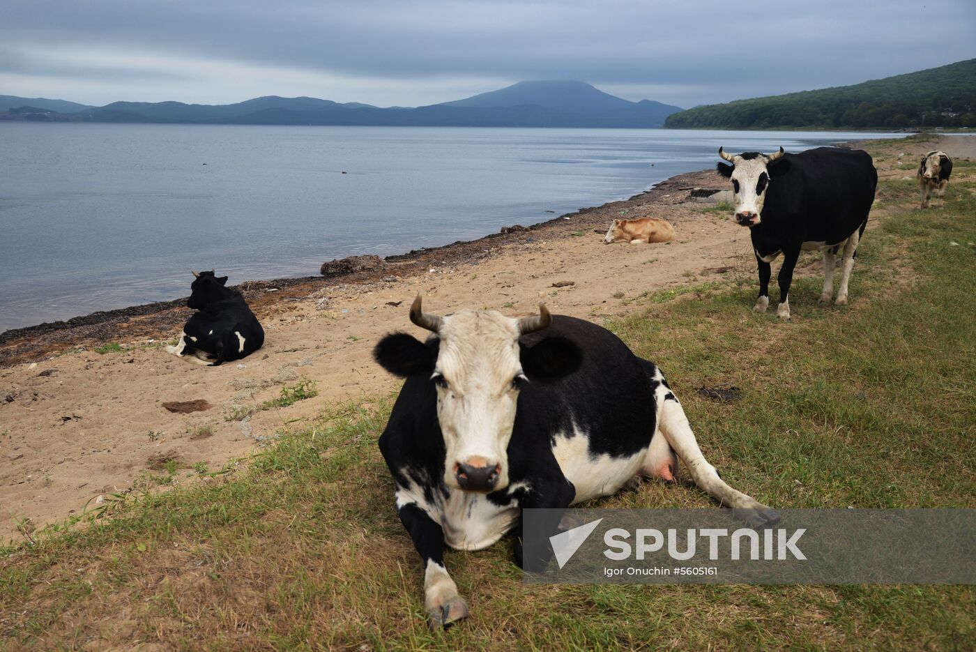 Putyatin Island in Primorye Territory