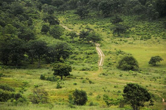 Putyatin Island in Primorye Territory