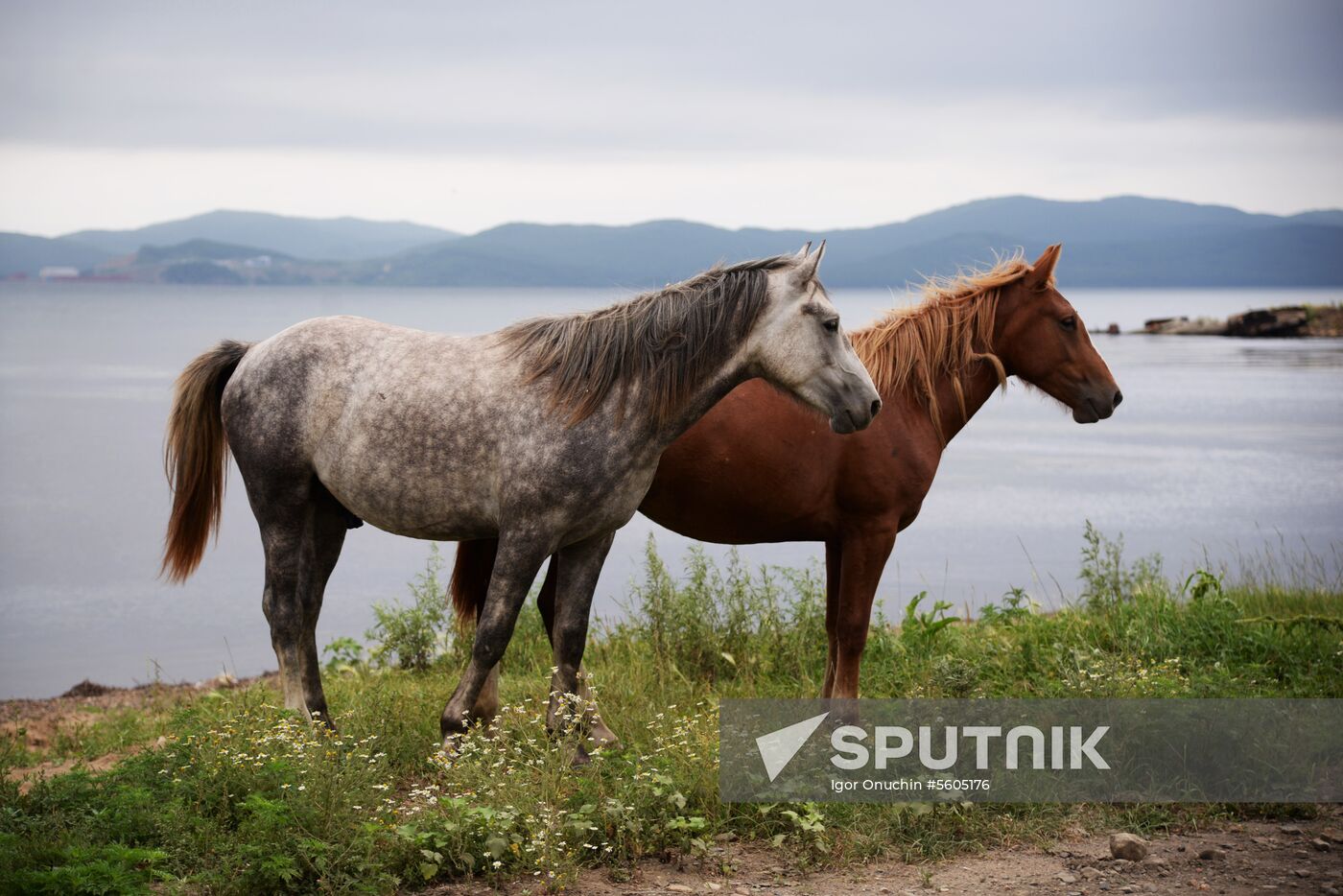 Putyatin Island in Primorye Territory