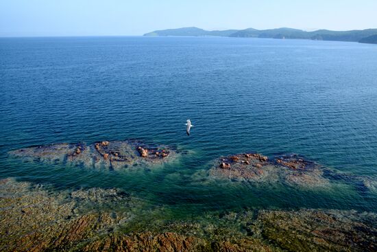 Putyatin Island in Primorye Territory