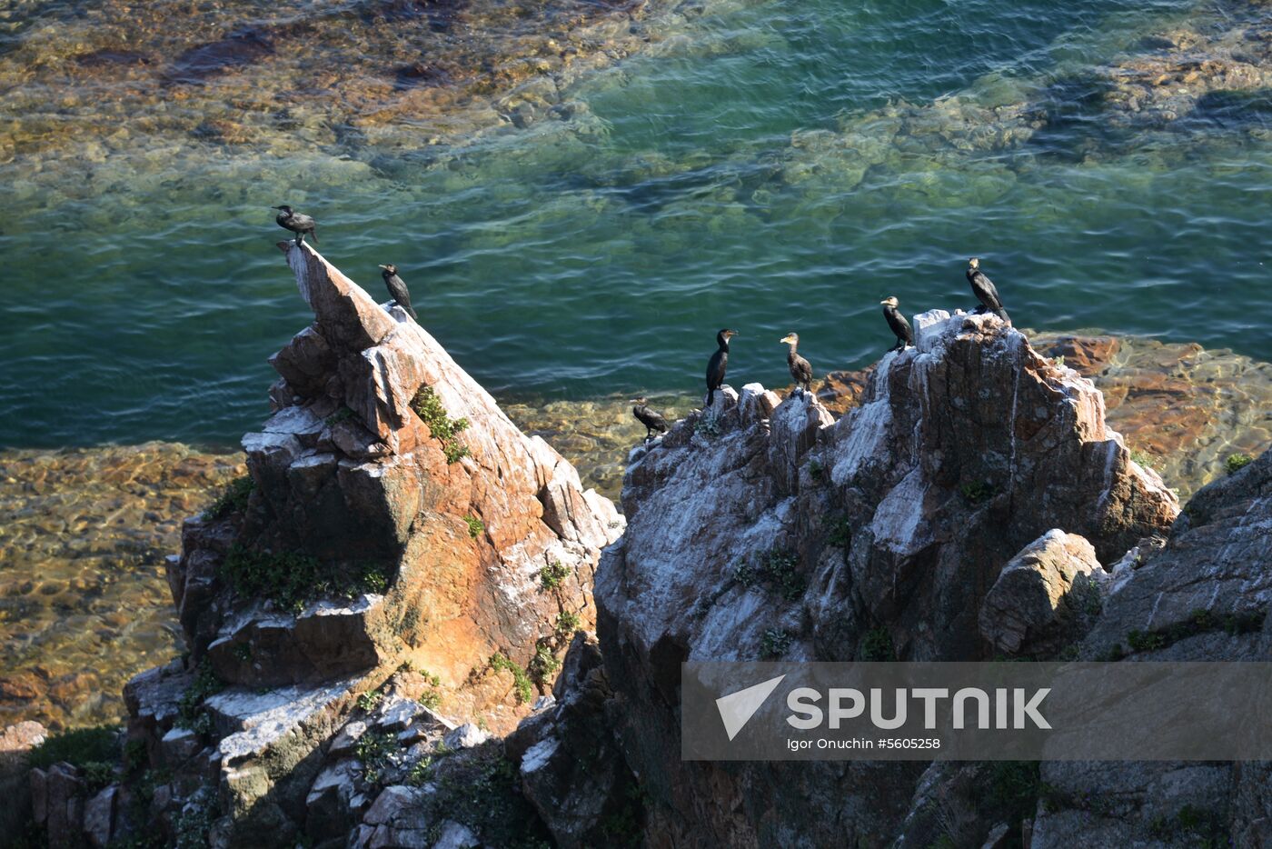 Putyatin Island in Primorye Territory