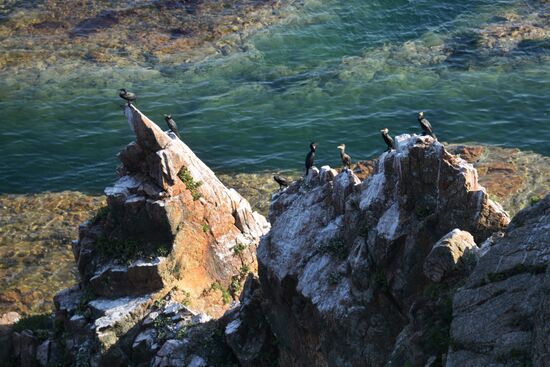 Putyatin Island in Primorye Territory