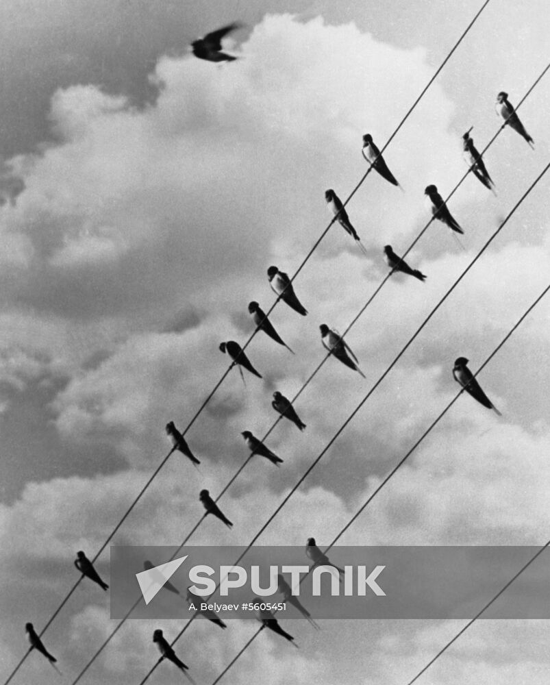 4th all-union artistic photo exhibition