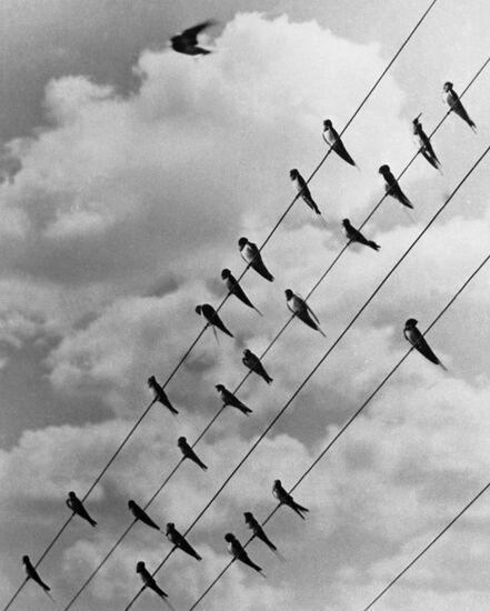 4th all-union artistic photo exhibition