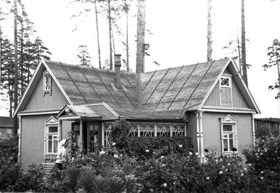 Dachas in Moscow Region
