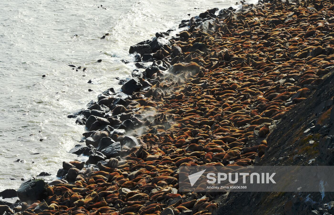 Chukotka Peninsula