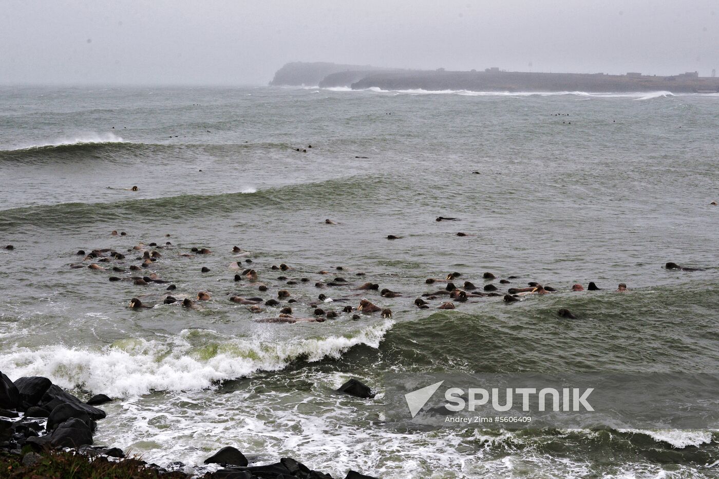 Chukotka Peninsula