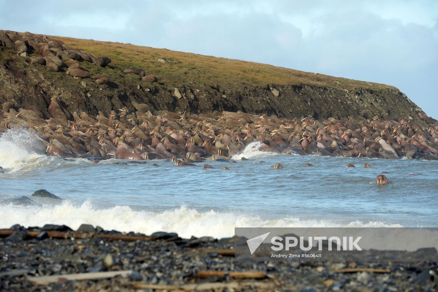 Chukotka Peninsula