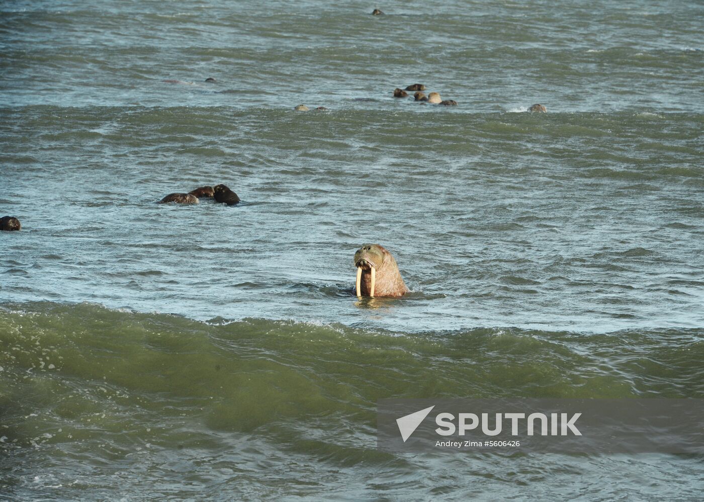 Chukotka Peninsula