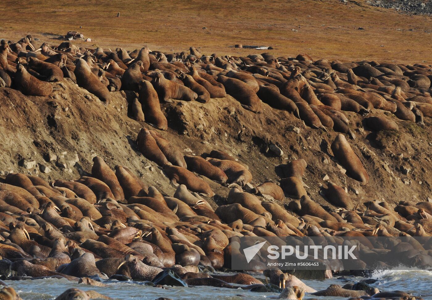 Chukotka Peninsula