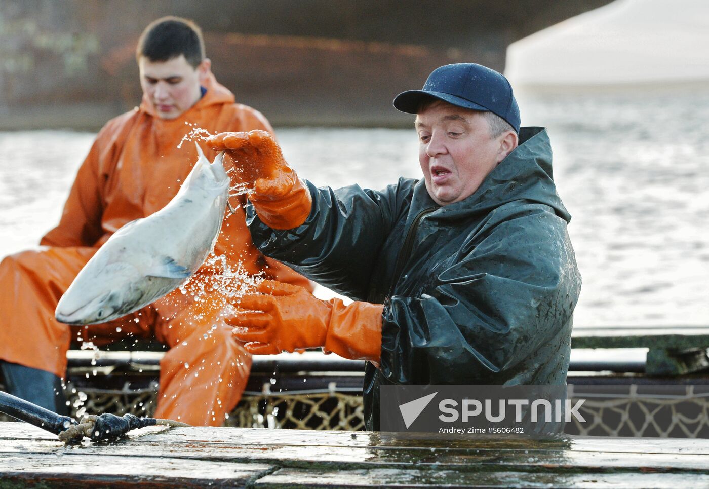 Mass salmon fishing near Bering Sea in Anadyr