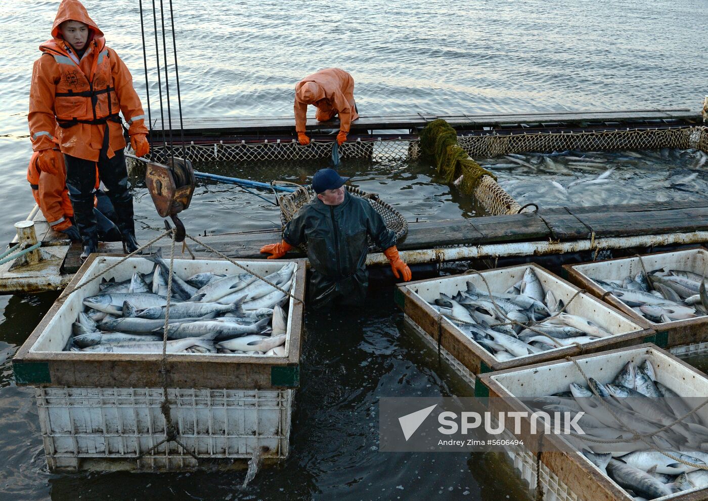 Mass salmon fishing near Bering Sea in Anadyr