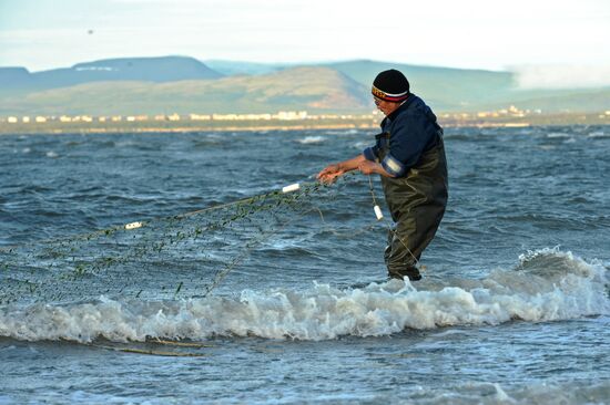 Mass salmon fishing near Bering Sea in Anadyr